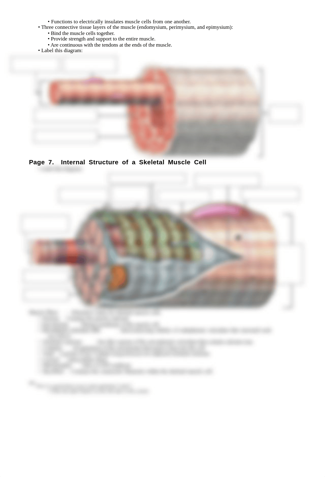 physiology concepts explained clearly adam interactive physiology.pdf_dx7a9ikmoz6_page2