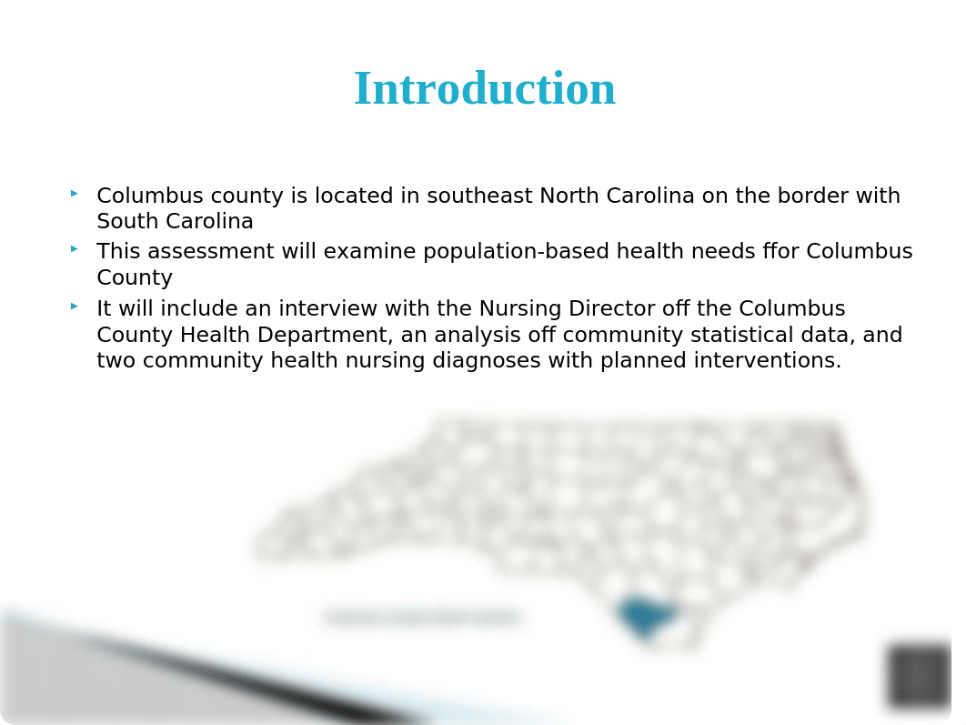 Community Health Assessment Project.pptx_dx7h9jcvewz_page2