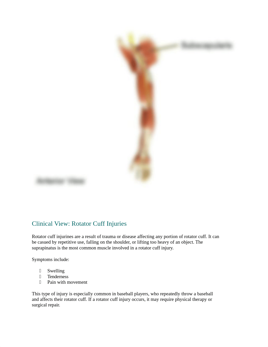 Chapter 11 Lab appindicular.docx_dx7kf8z8bnx_page4