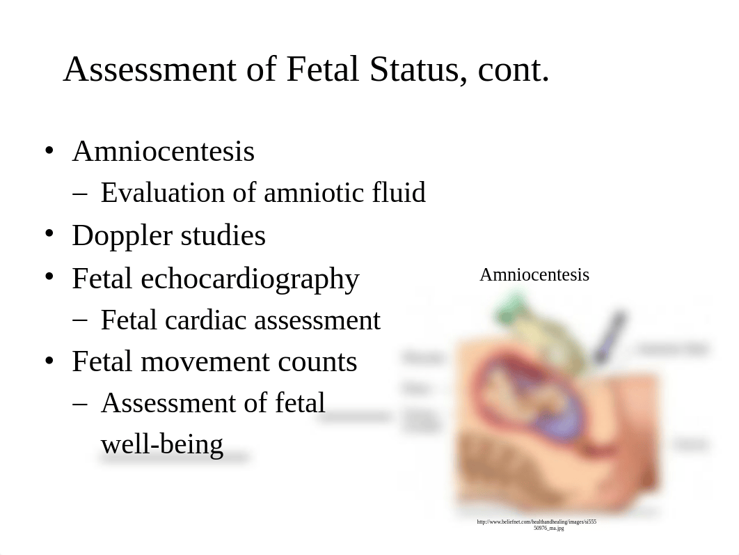 OB High Risk Pregnancy revised.pptx_dx7kjlybgjc_page3