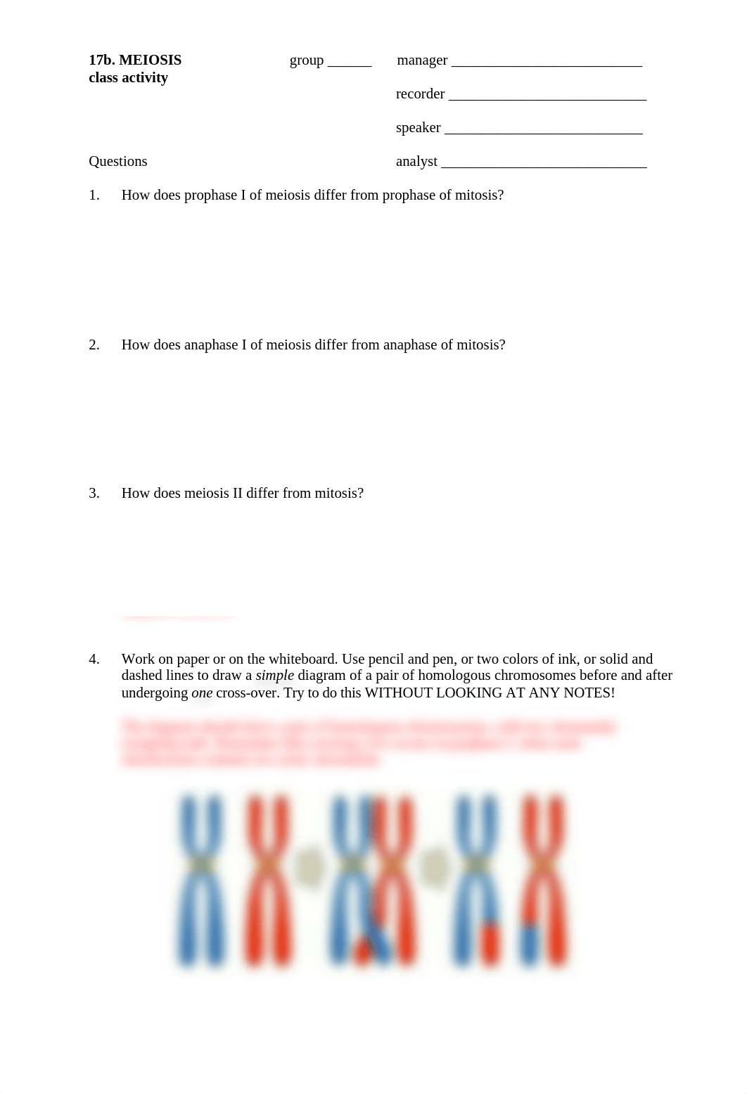 17b. Key Meiosis activity.docx_dx7o8w0j63d_page1