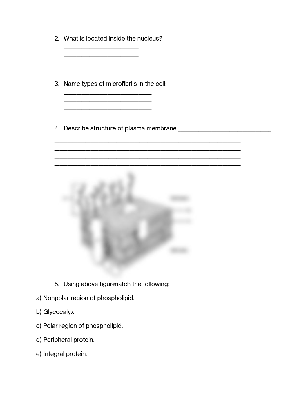 hw Week 3.pdf_dx7oad8k2s4_page2