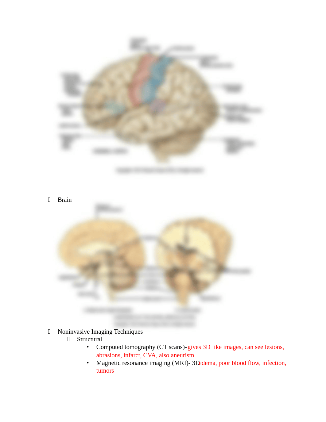 mental health pharmacology meds.docx_dx7oqkg8a3g_page2