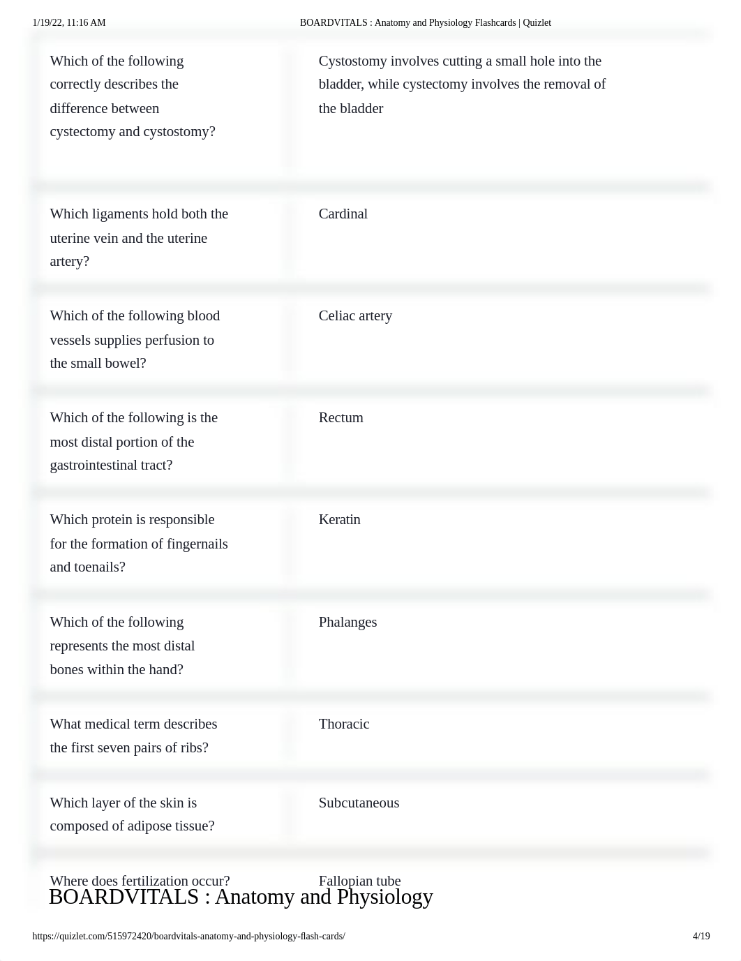 BOARDVITALS _ Anatomy and Physiology Flashcards _ Quizlet.pdf_dx7rwg90moa_page4