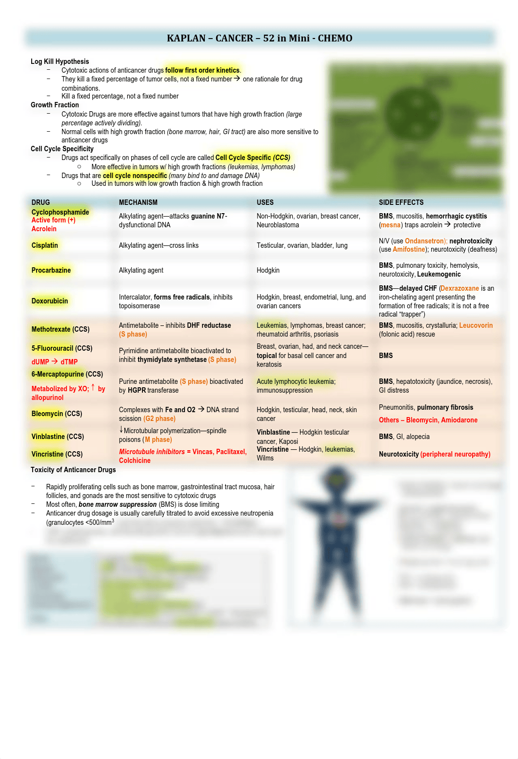 Pharm - 54 - Kaplan Chemo - BL_dx7wulr8wm8_page1