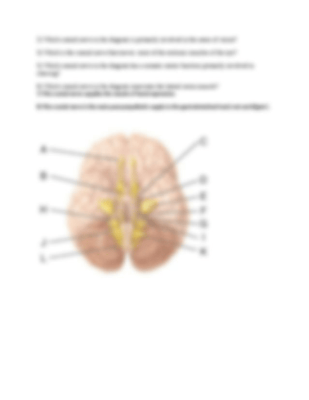 Biol 221 Lab Finals Review Fall 17.docx_dx7xjv8r0ug_page3