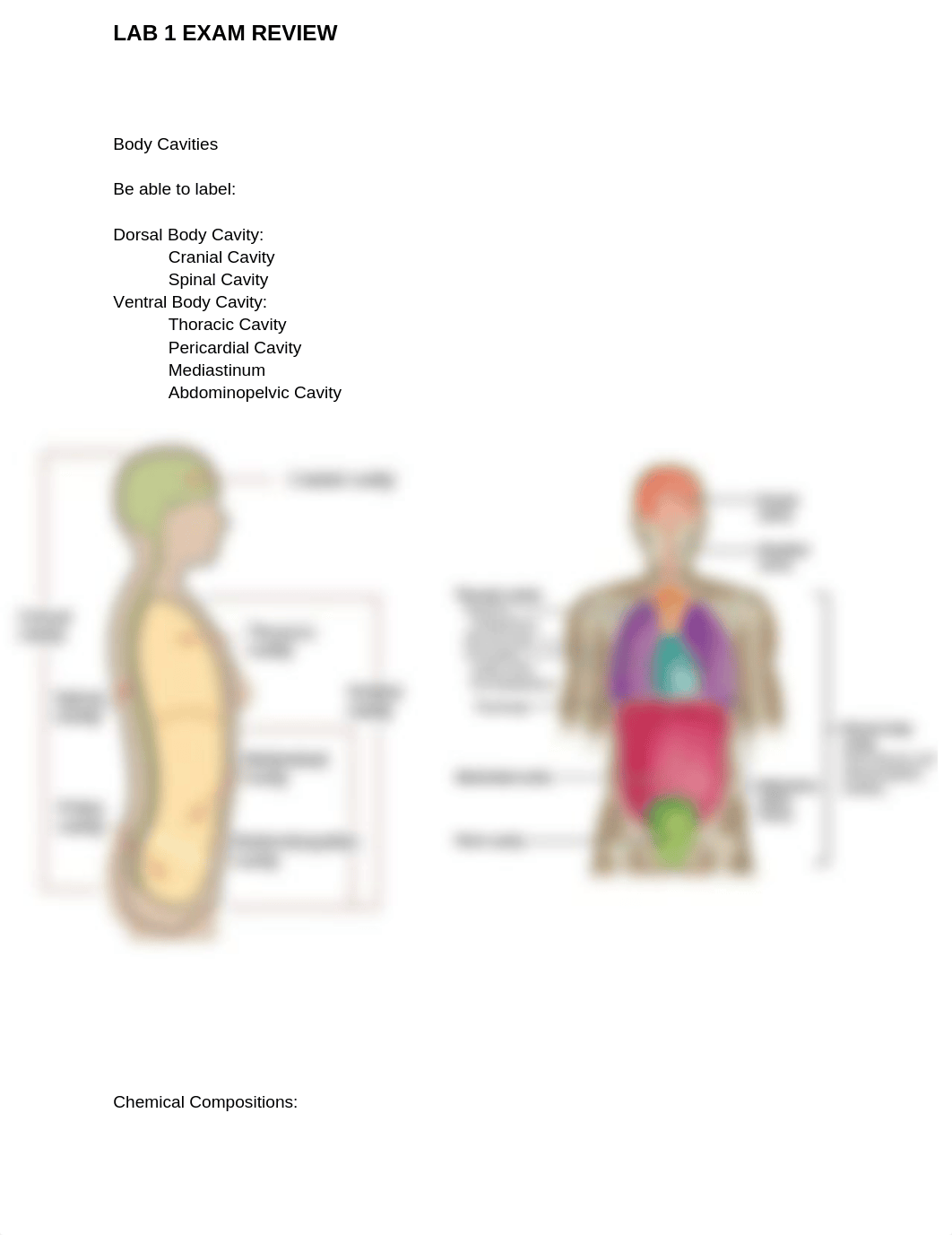 Lab Exam 1 Review_dx7xo9z01h5_page1