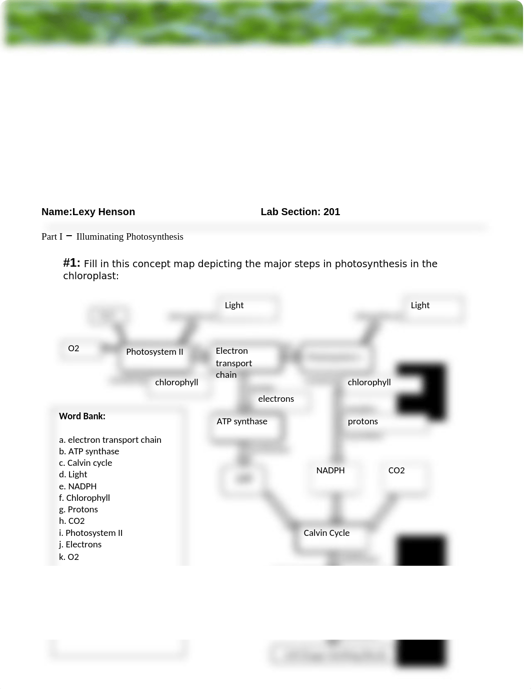 Henson_Lexy_CaseStudy1.docx (1).docx_dx8cd5twpu7_page1