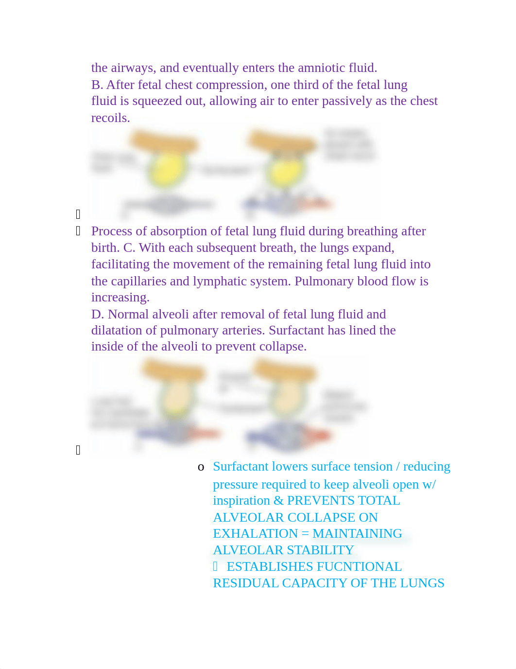 Study Guide Maternity Quiz 3-1.docx_dx8ehtgtp98_page2