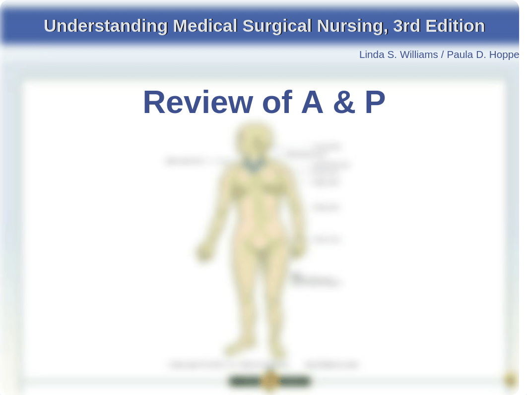 Unit_B_Blood_and_lymph_chpt_27%t.ppt_dx8gdwyt0dx_page3