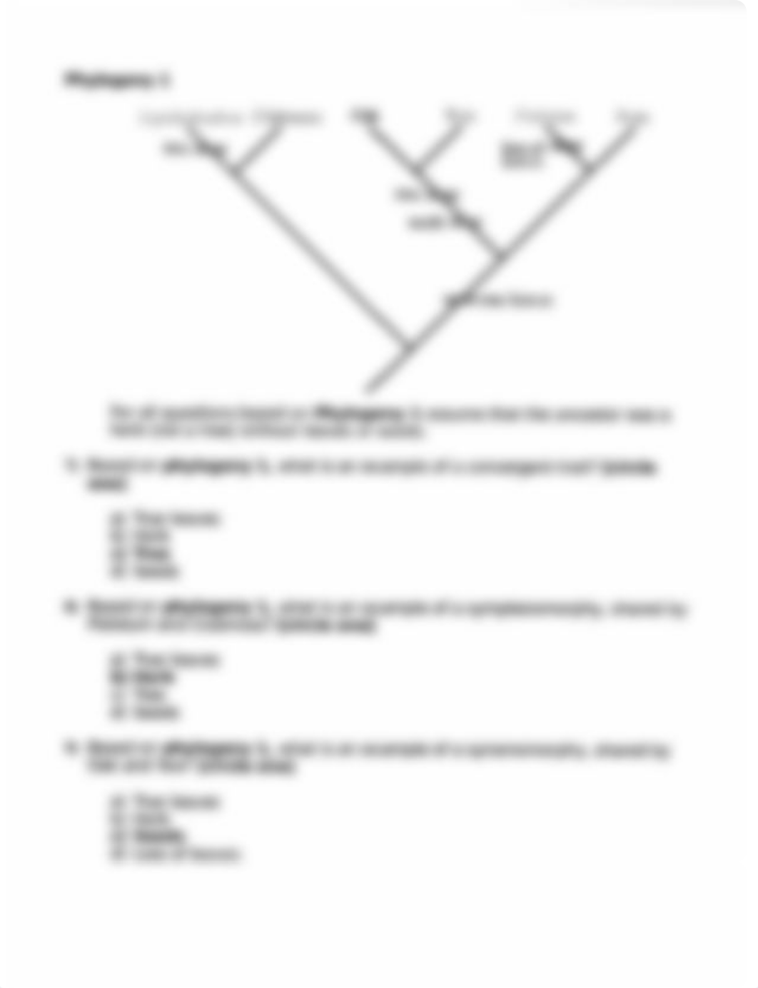 BIO 141 Exam 1.pdf_dx8i6ws2slh_page3