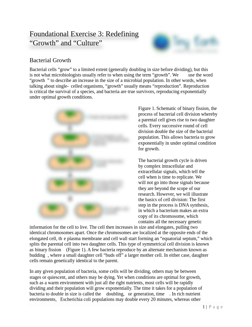 Foundational Exercise 3 - Serial Dilutions and Spread Plating.pdf_dx8mny6xcgo_page1