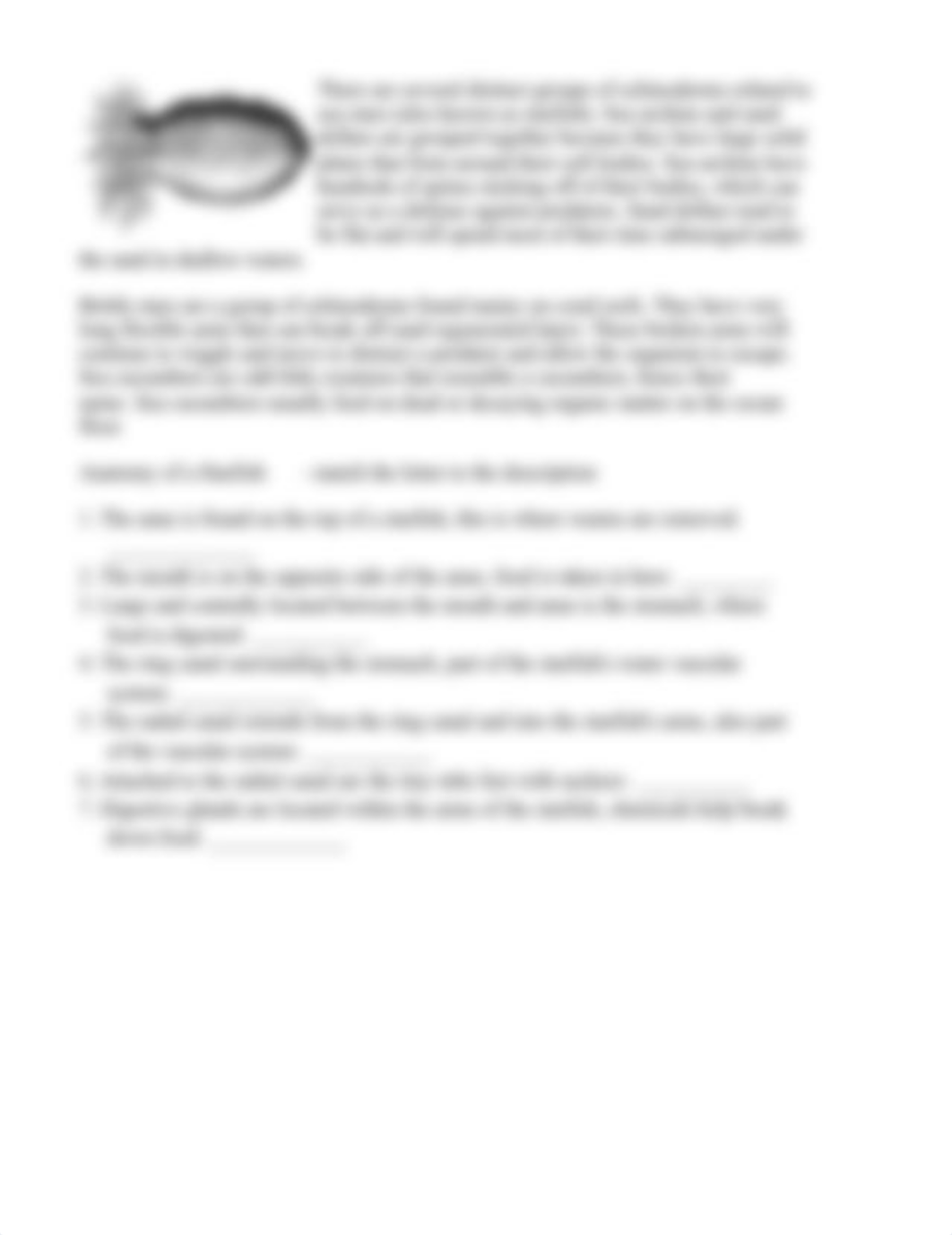 echinoderm.pdf_dx8no4vng3q_page2