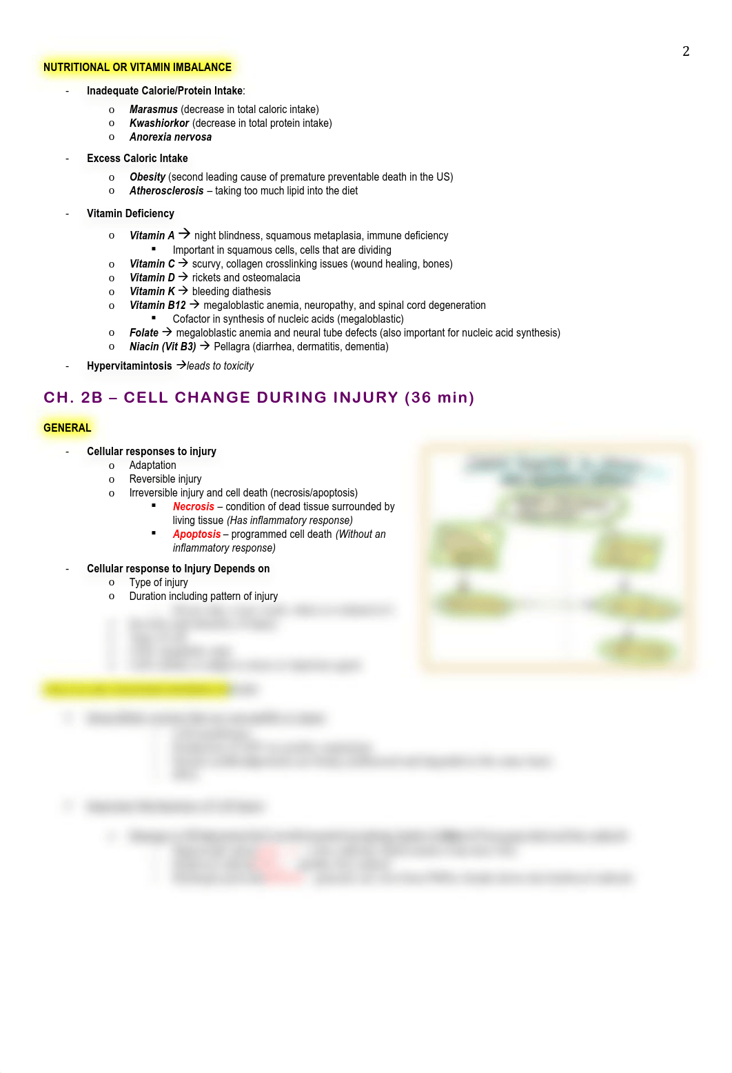 Path - 1 - Cellular Adaptations - BL_dx8rrqeu0ue_page2