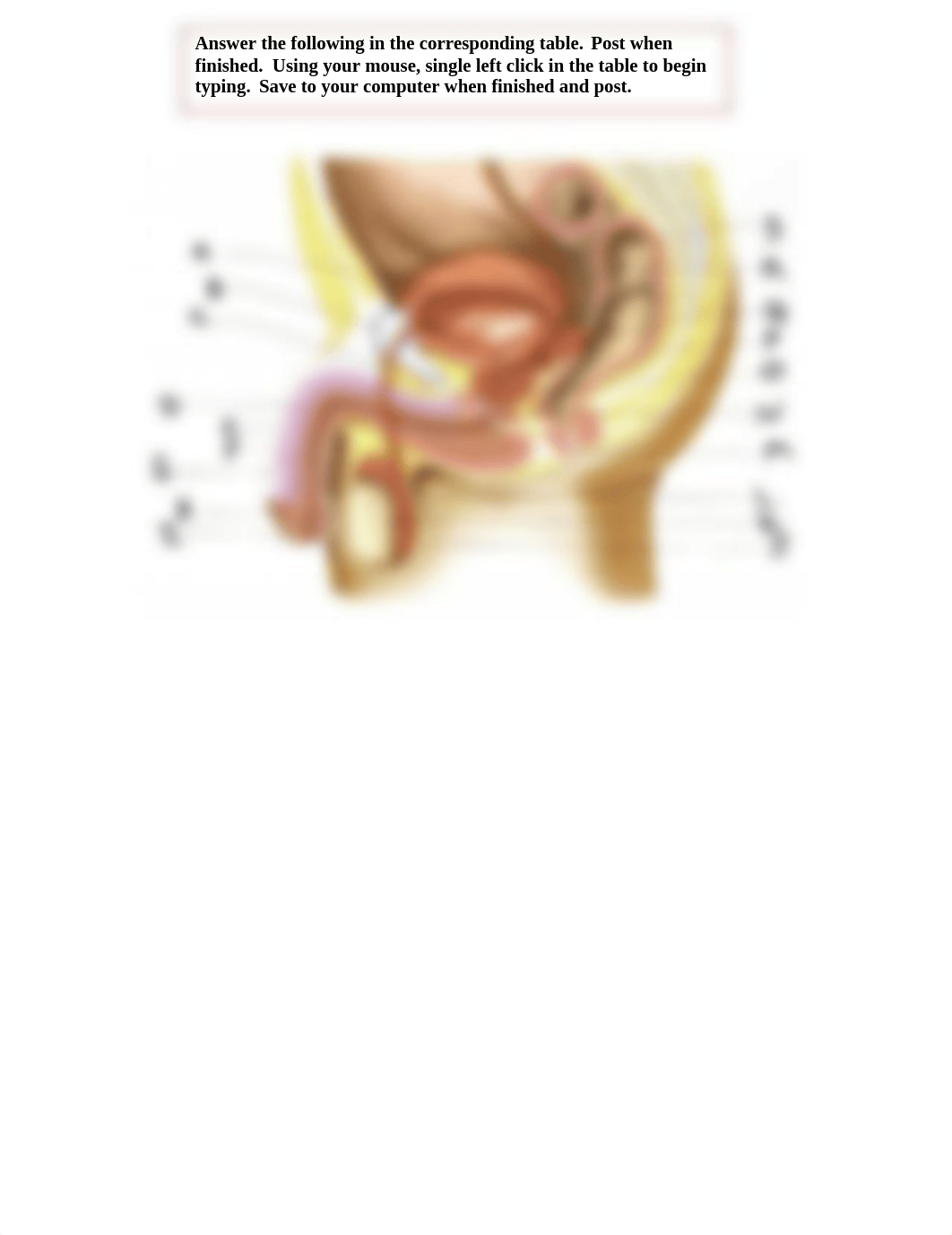 Male - female reproductivecCOMPLETE_dx91eih3246_page1