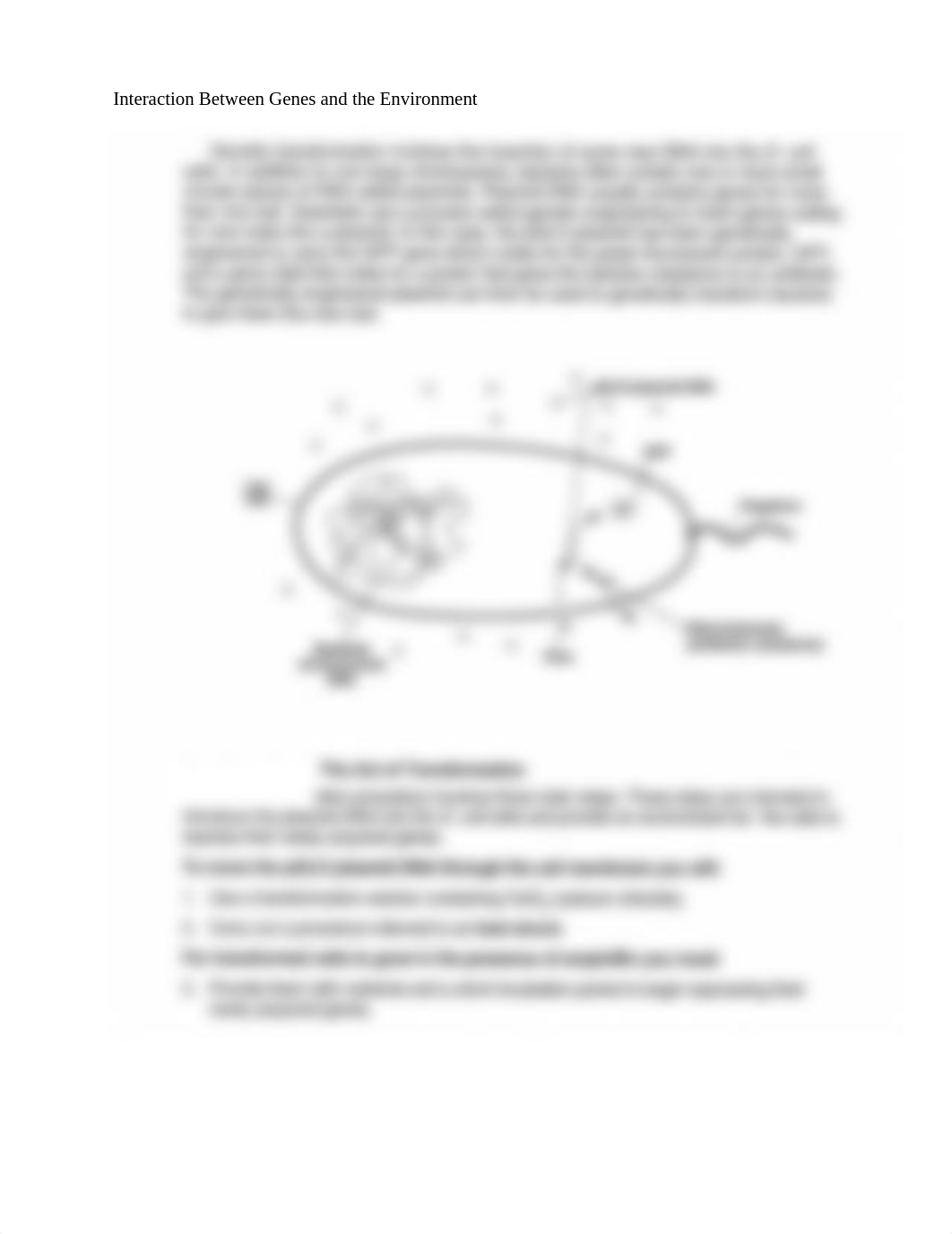 Lab 2 pGLO Bacterial Transformation questions.docx_dx92alkzksf_page2