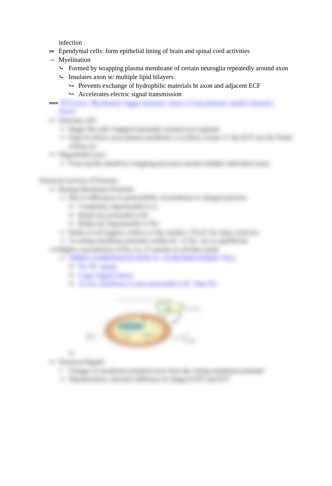 HP: Chapter 4 (Exam 1)_dx94vnh6trn_page3