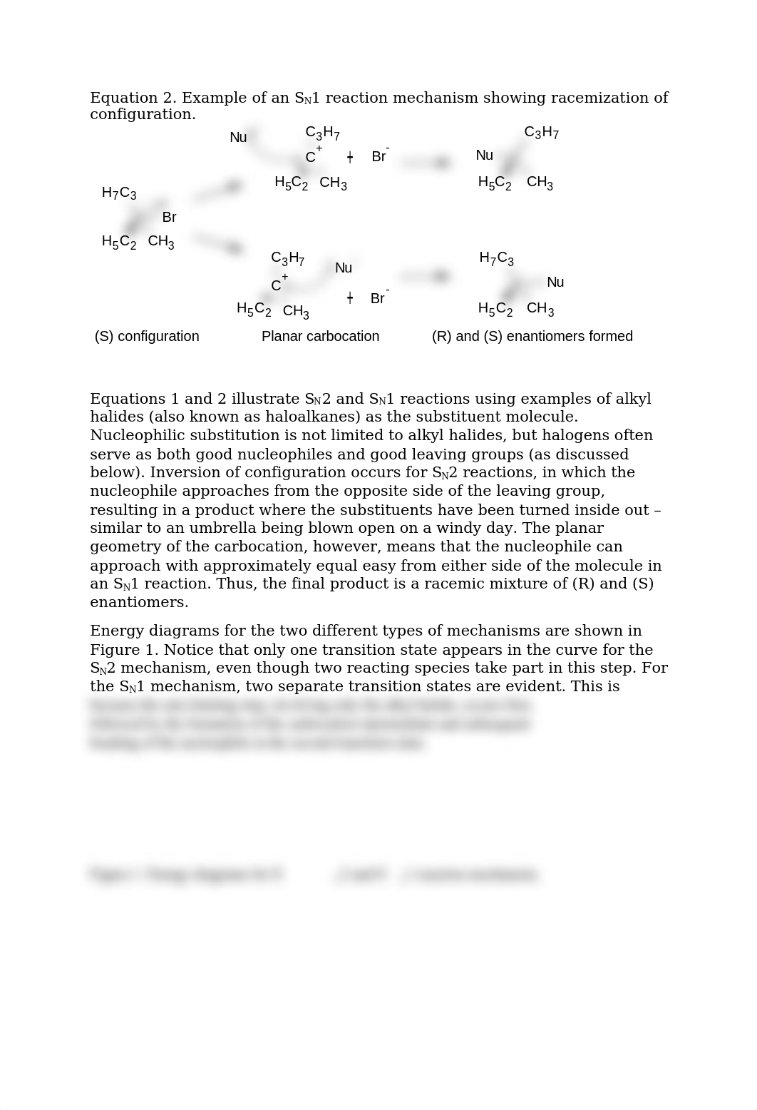 SN2 SN1 Reaction Factors DRAFT.docx_dx99uyr3zea_page2