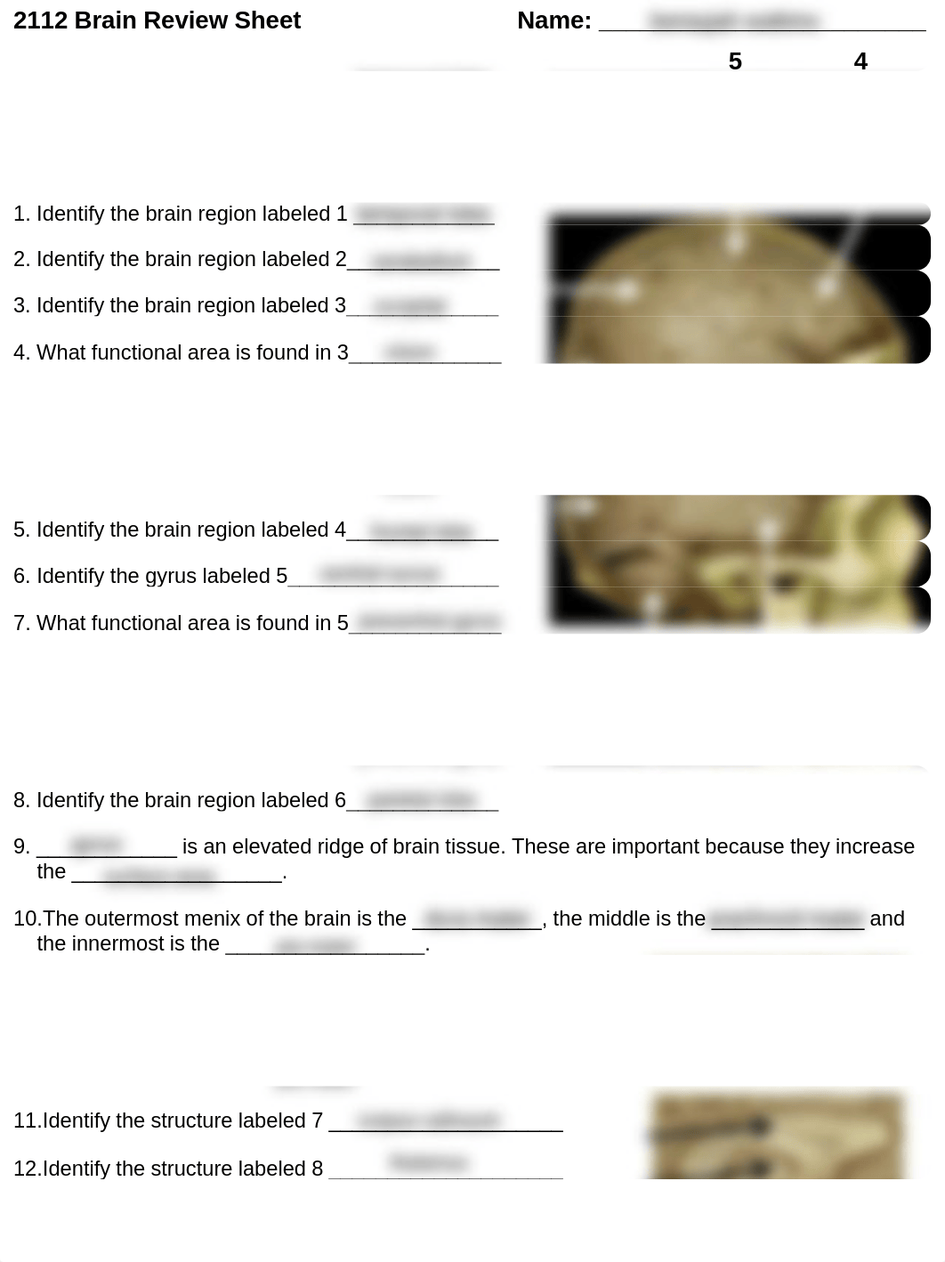 2112 Brain Review.pdf_dxa2gwfalzl_page1