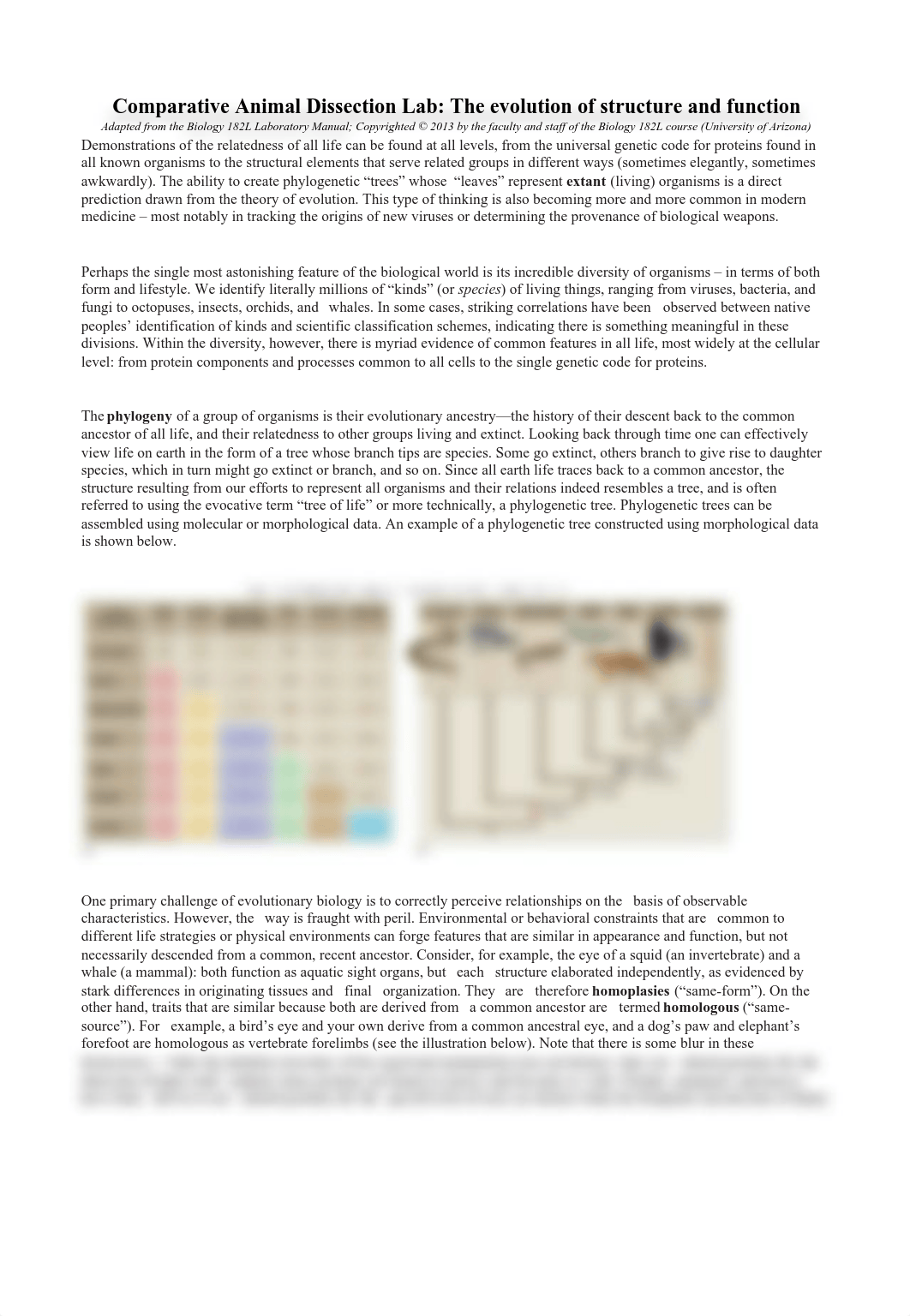 Dissection+Lab.pdf_dxa58lhr1ev_page1