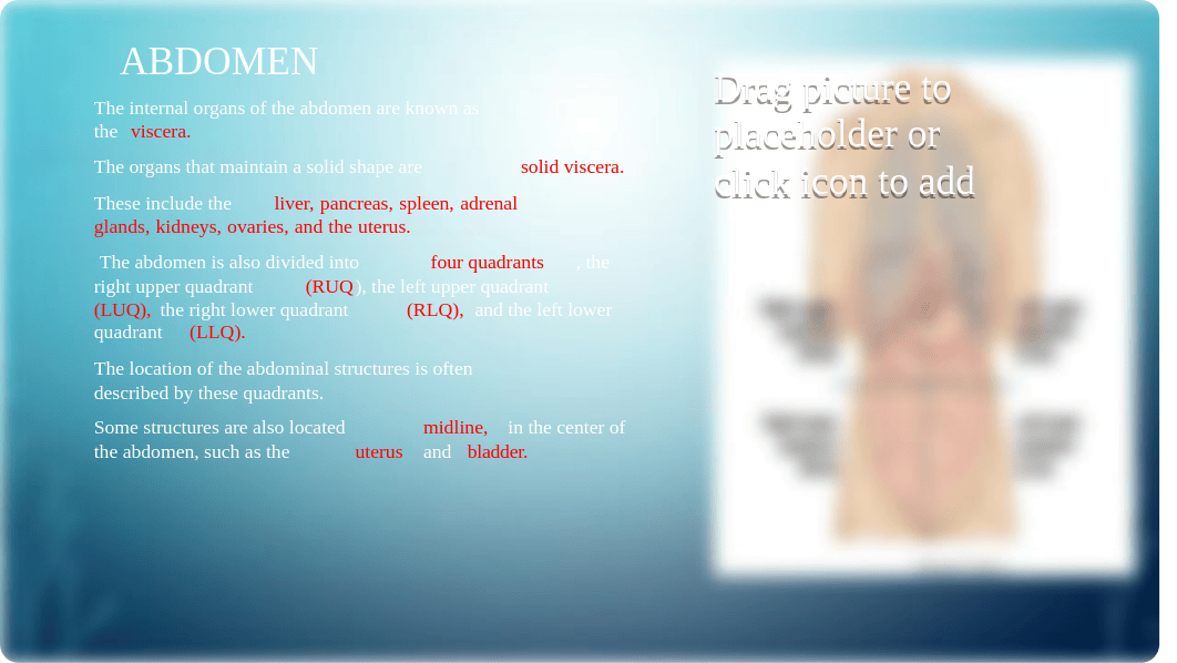 APA Abdomen 1.pptx_dxa64dw4var_page2