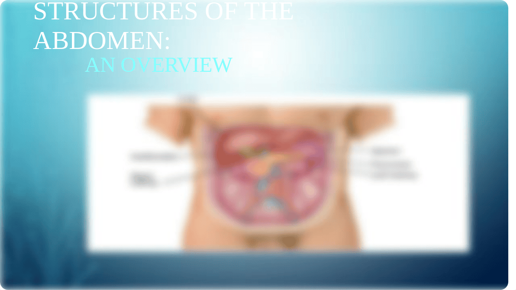 APA Abdomen 1.pptx_dxa64dw4var_page1