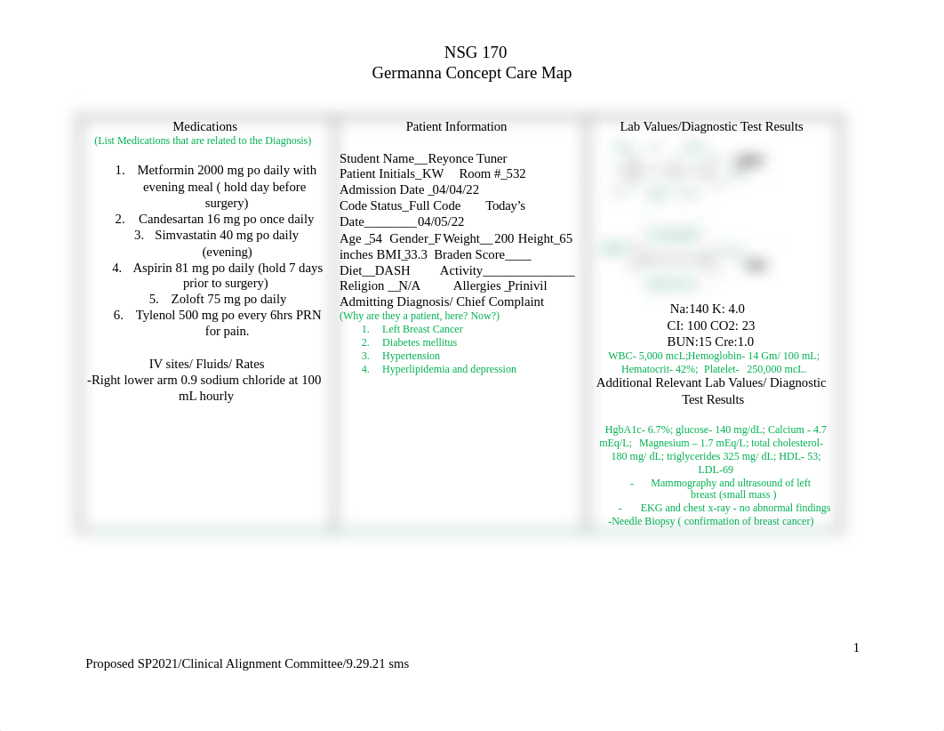 NSG+170+Concept+Care+Map+Sp21.docx.pdf_dxa6il75y9d_page1