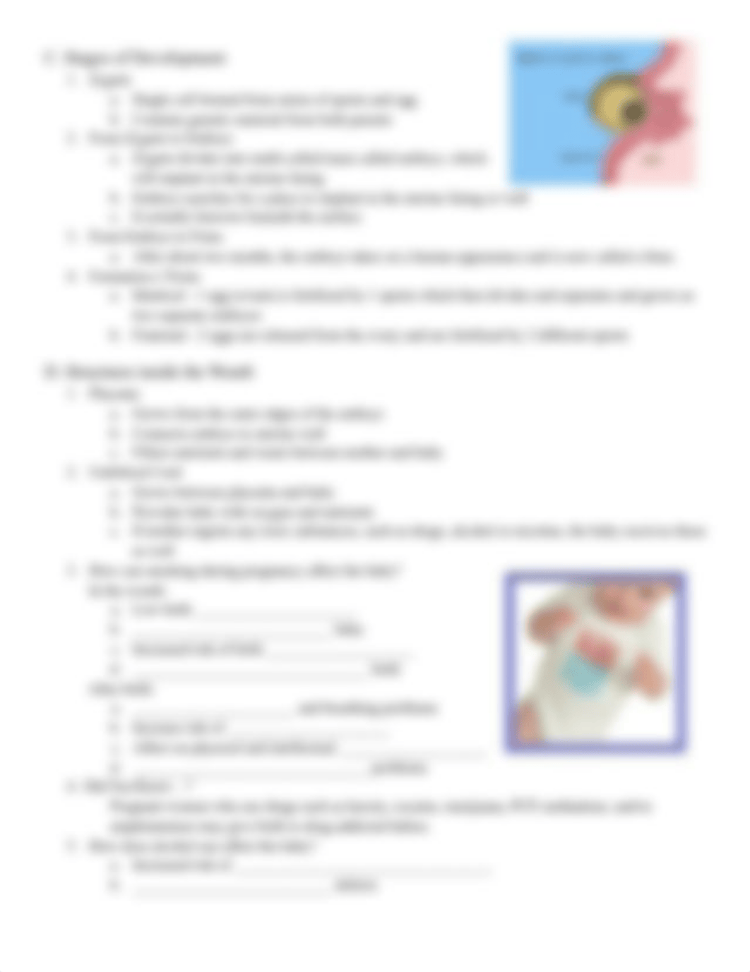 miracle_of_life_guided_notes (1).doc_dxa7f9gtgqe_page2