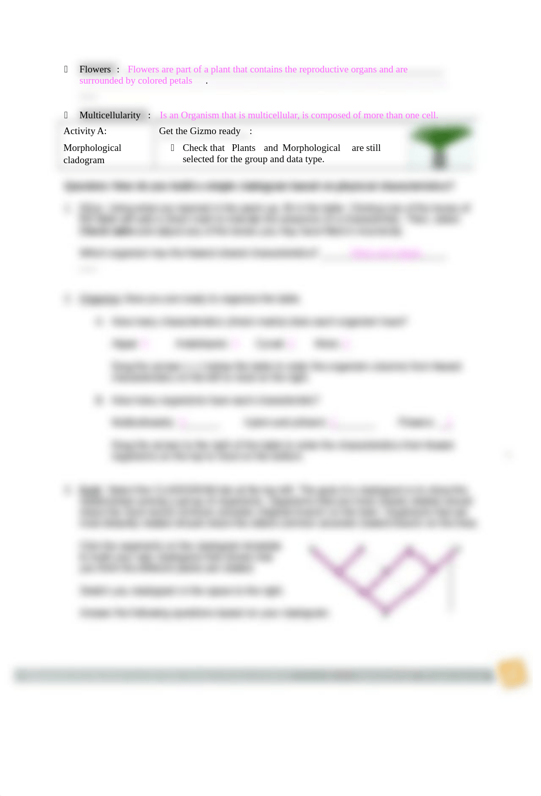 Cladograms Honors.docx_dxa8rxc0xh4_page2