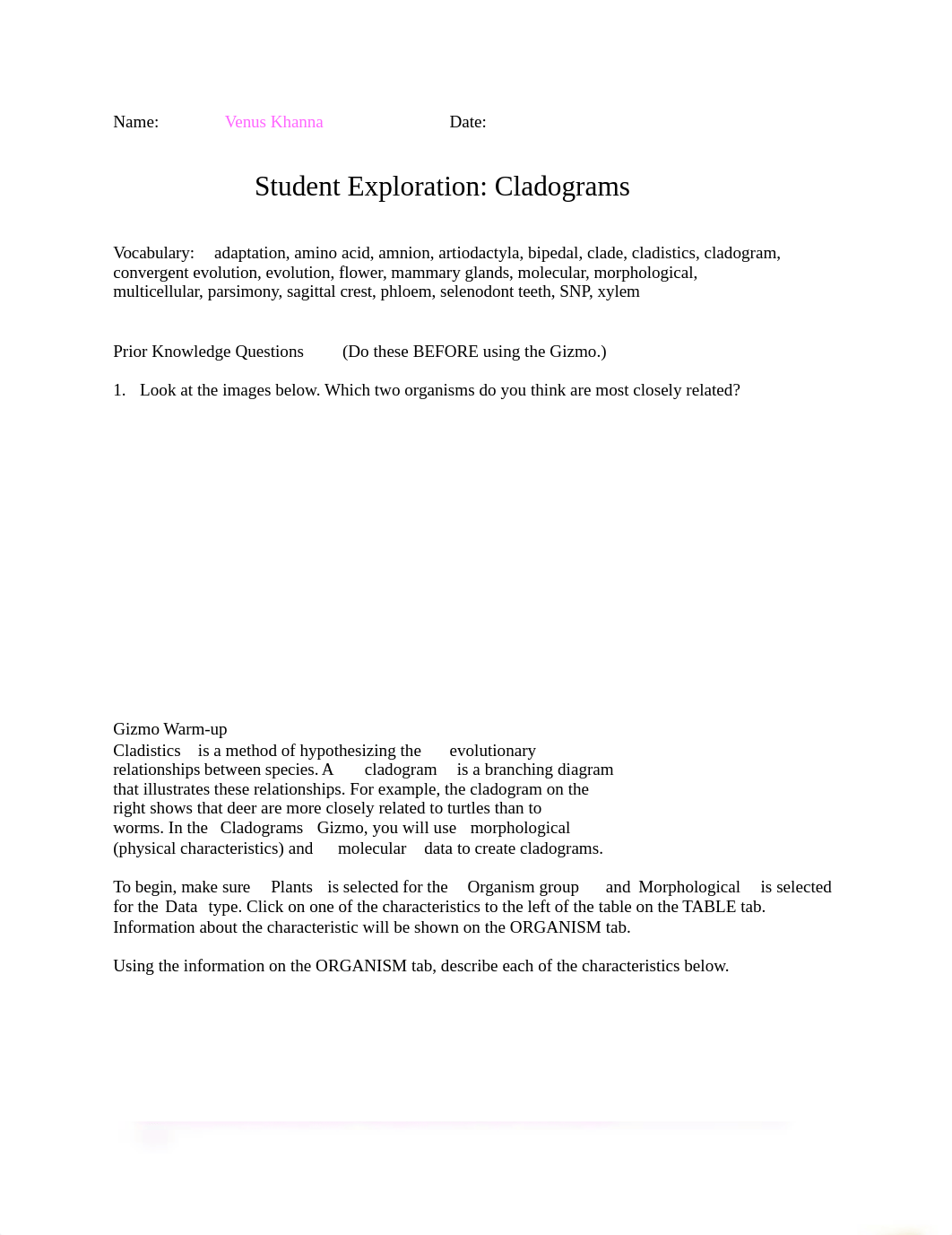 Cladograms Honors.docx_dxa8rxc0xh4_page1