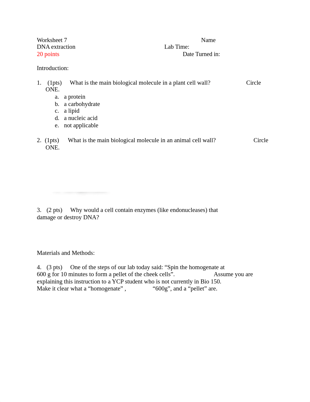 Worksheet 7 sp19.docx_dxa928ik1h5_page1