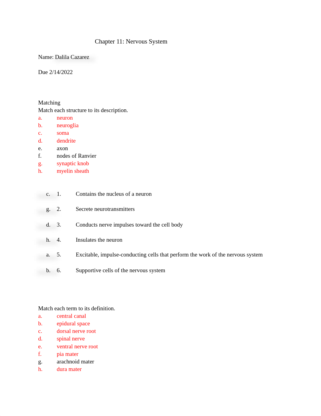 Chapter 11_ Nervous System.docx_dxaahpe0eip_page1