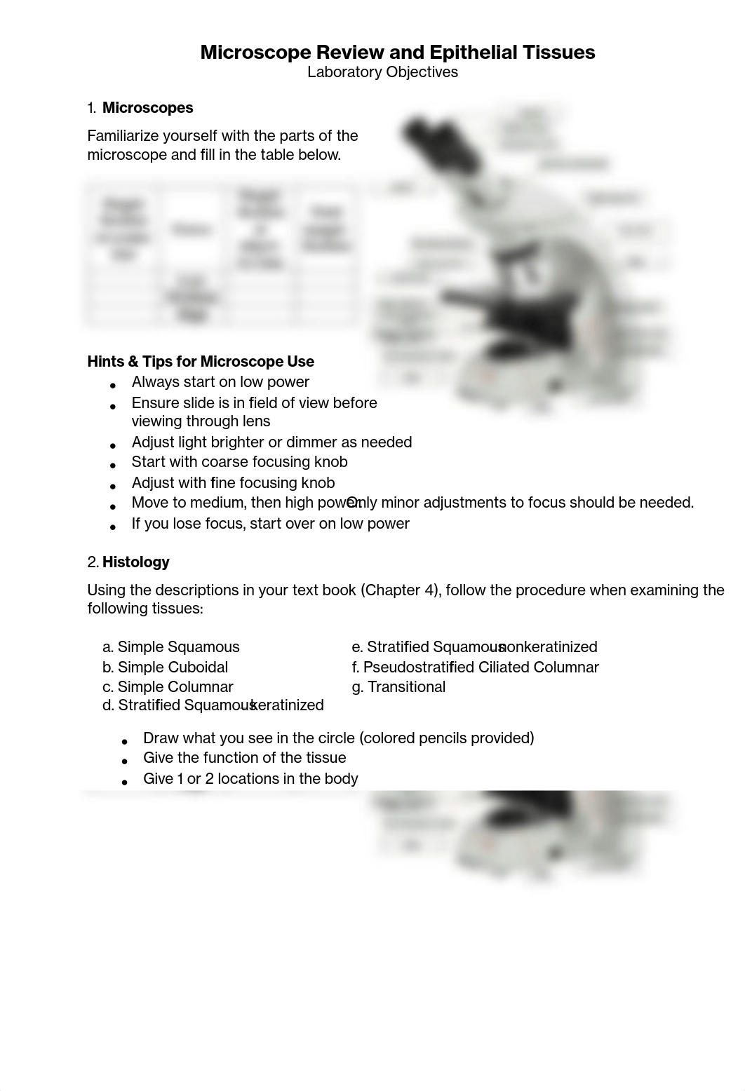 (2) Microscope, Epithelil Tissues (3).pdf_dxadystyn18_page1