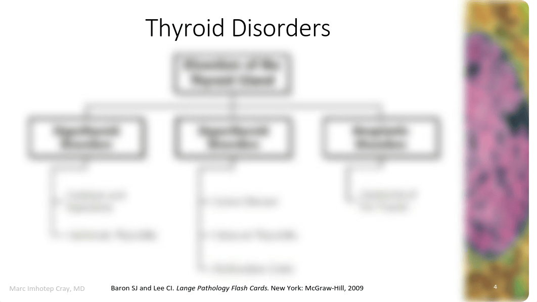 III of VI- Thyroid Disorders and Anti-thyroid Drugs.pdf_dxaevnyni8e_page4