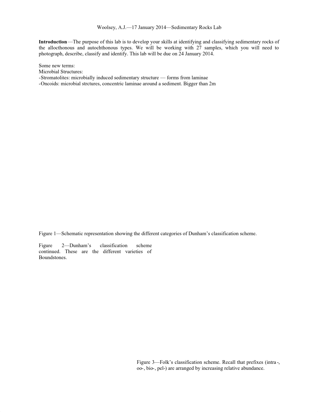 Sedimentary Rocks Lab_dxah77cuqap_page1