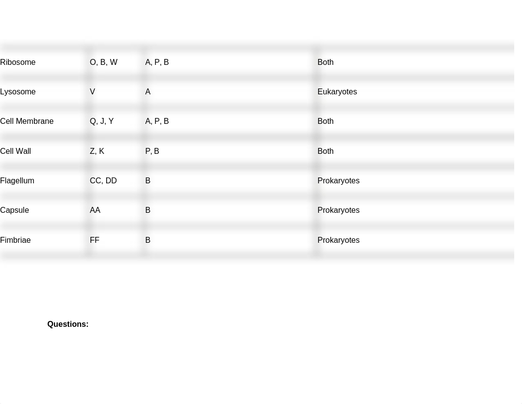 Lab 3.docx_dxaowwx6lss_page2