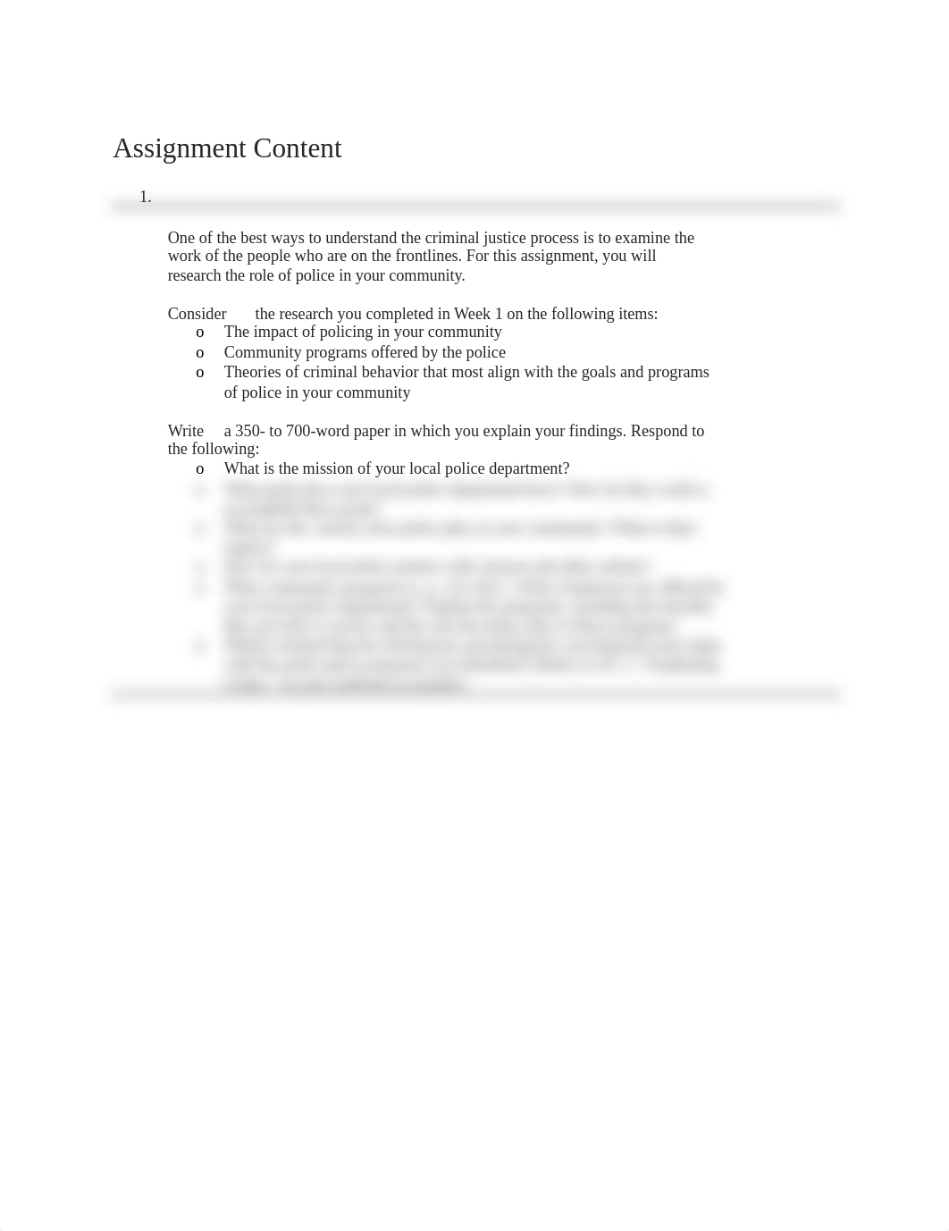 Example.docx_dxaxxflhuir_page1