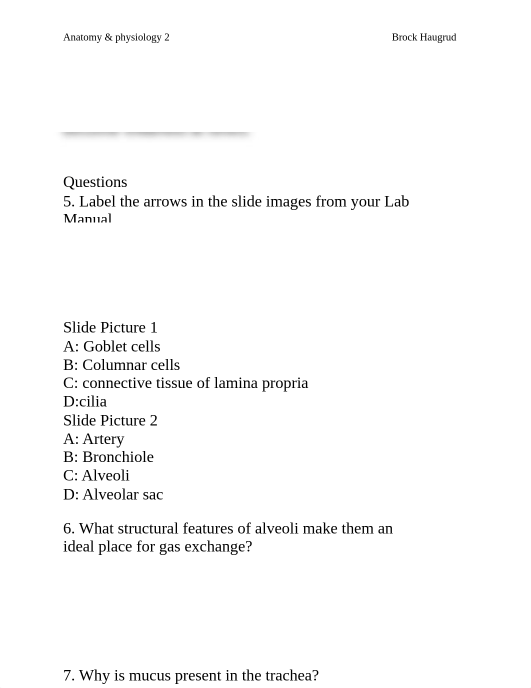 Respritory Lab worksheet.docx_dxb869g8efc_page2