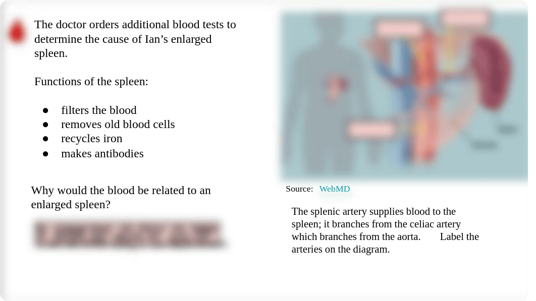 Cardiovascular Lab 2.pdf_dxb87krapua_page3