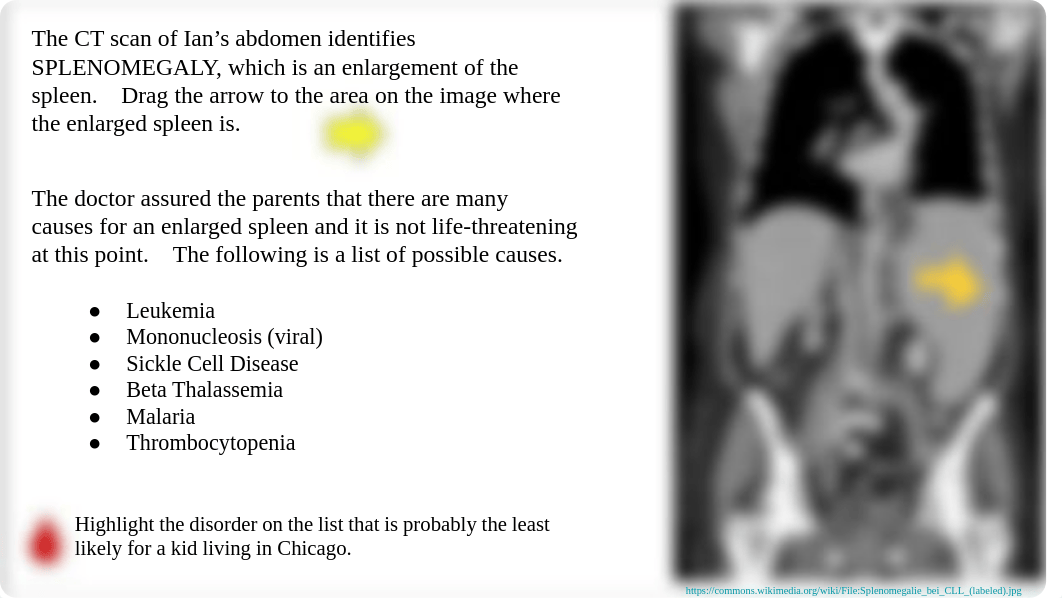 Cardiovascular Lab 2.pdf_dxb87krapua_page2