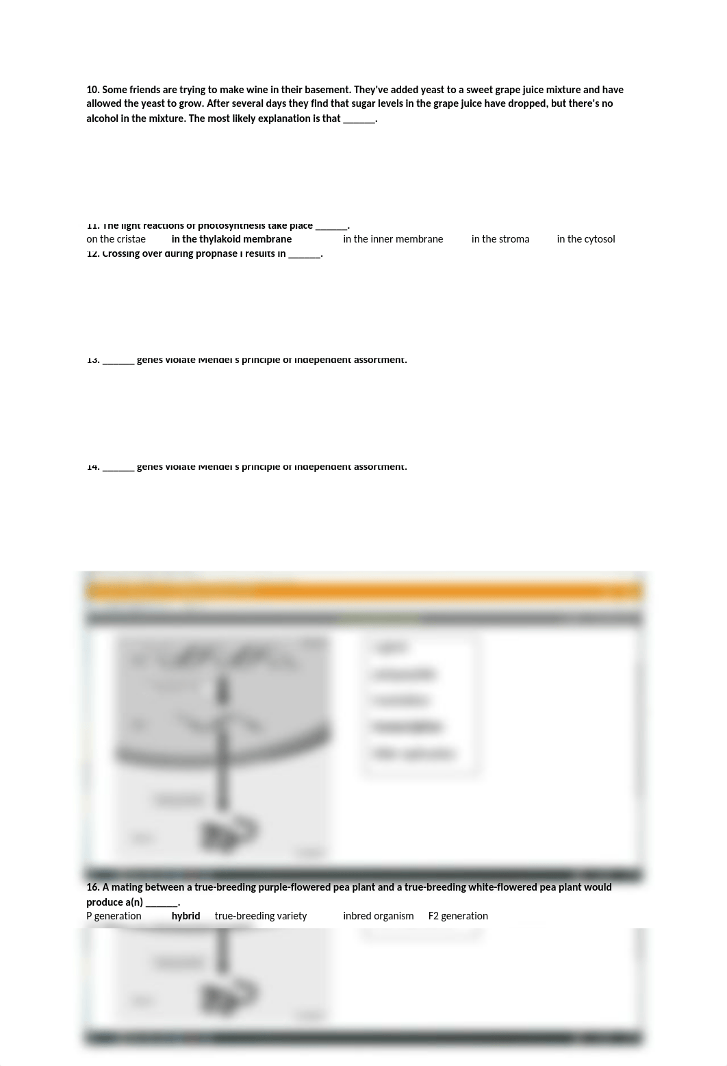 TEST CHAPTERS 6-10_dxbb6ln7ce7_page2