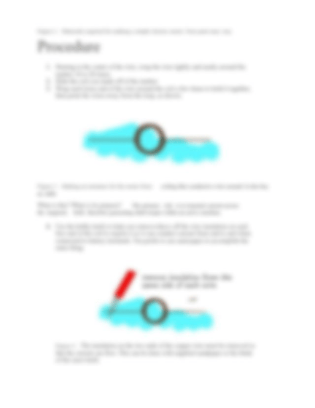 Lab 6 - Making A Simple Electric Motors V2.docx_dxbfp499htr_page3