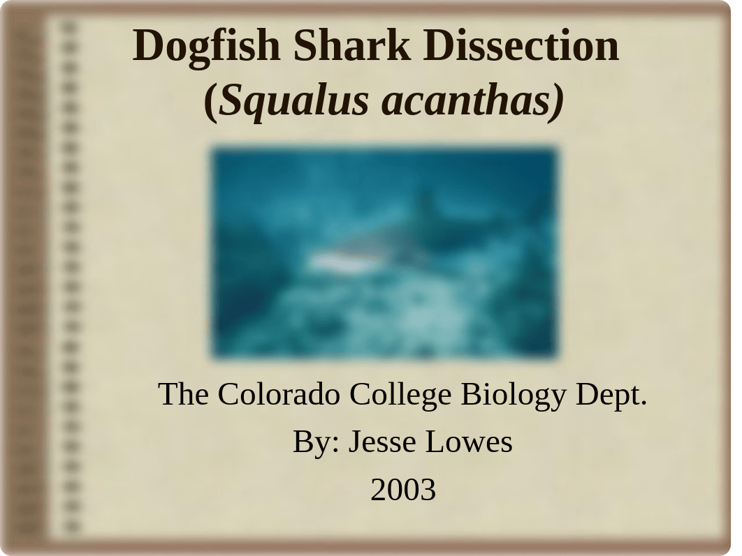 Dogfish Shark Dissection_dxbn343965h_page1