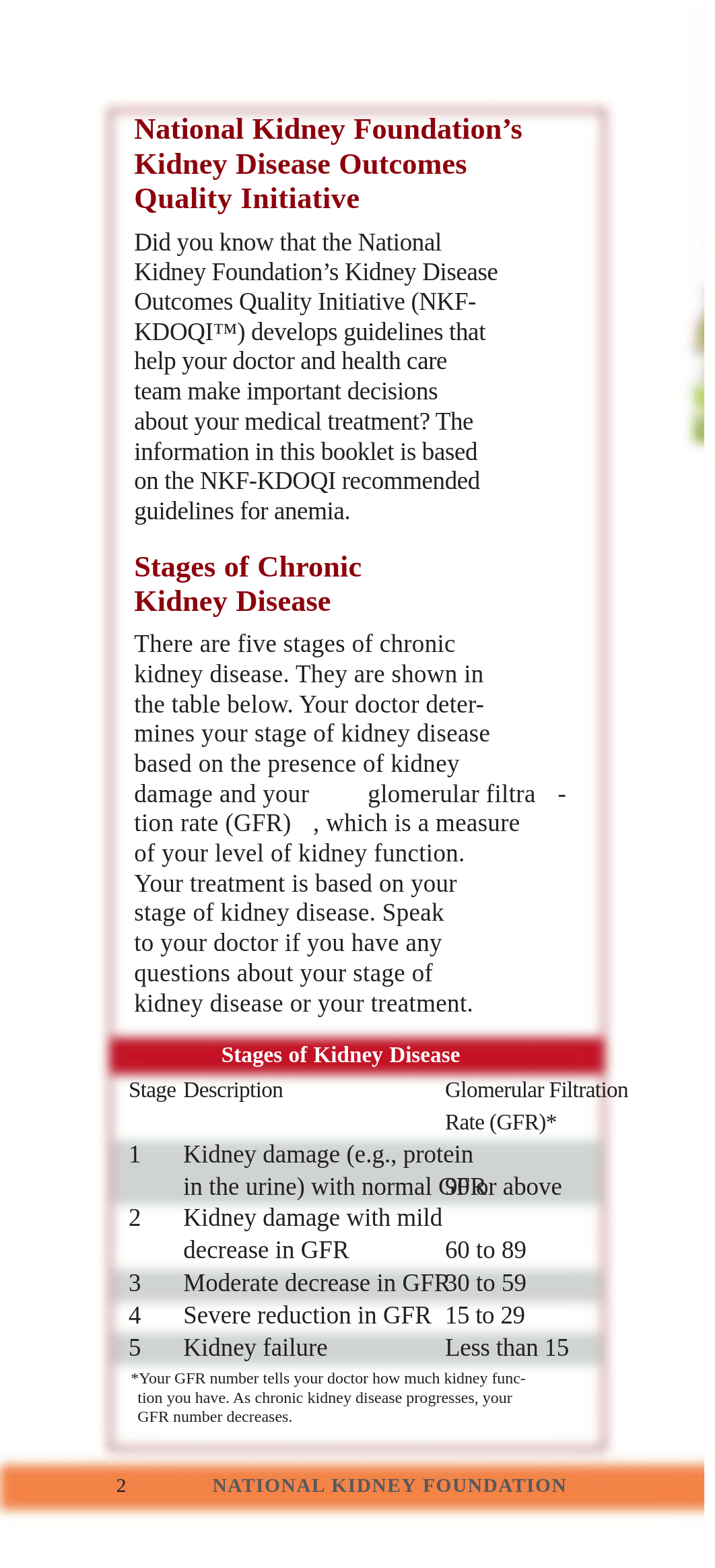 nutrikidfail_stage1-4.pdf_dxbnfgnhbk0_page2