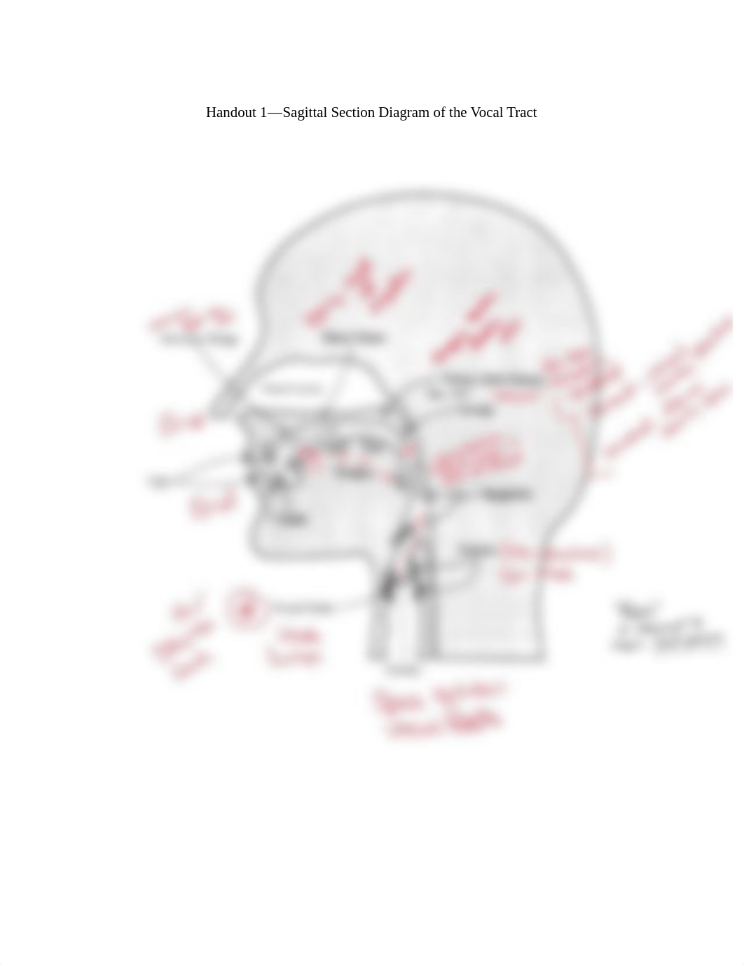 1--Vocal+Tract+Diagram.pdf_dxbspxgfamp_page1