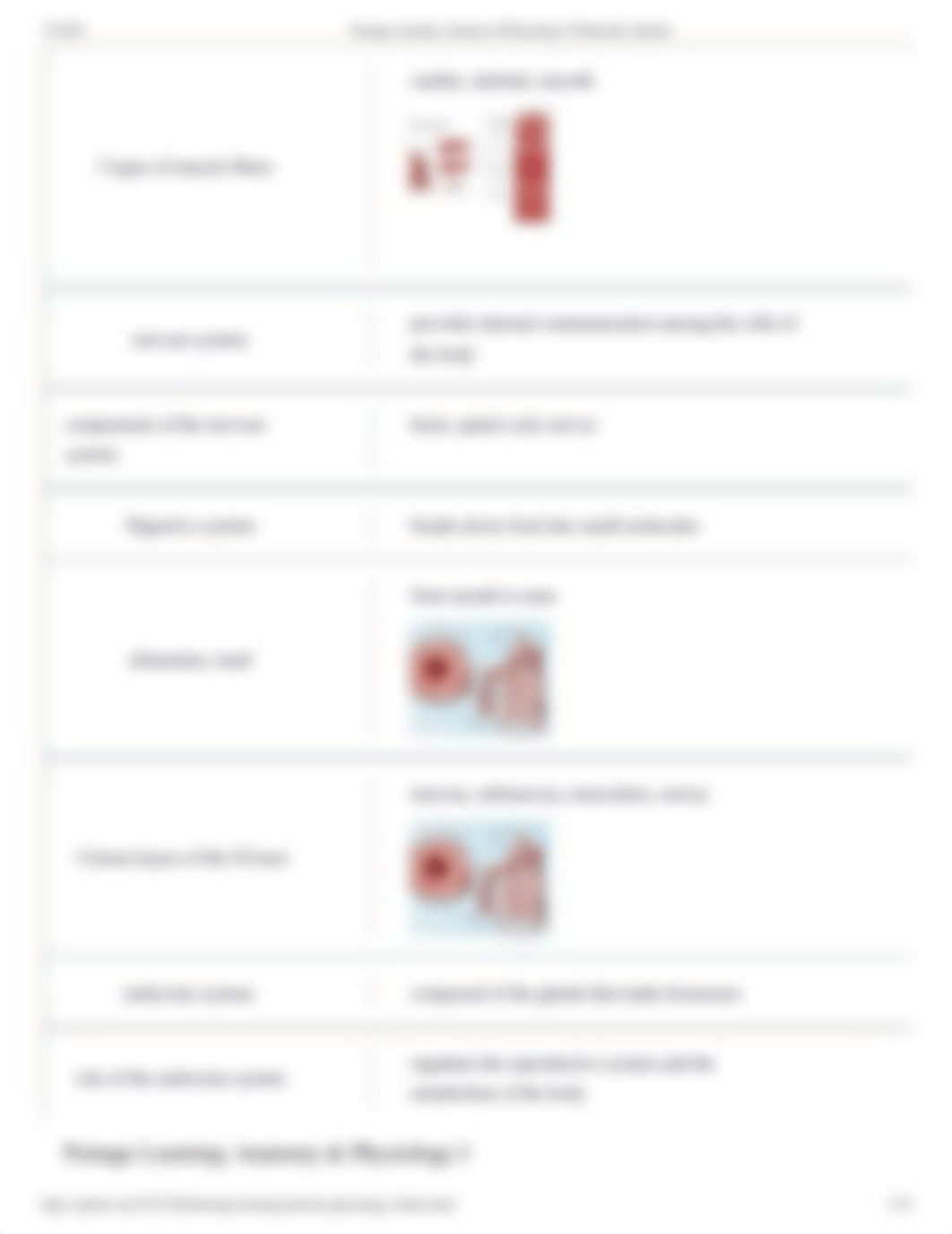 A&P Flashcards final.pdf_dxbxql3qkp7_page5