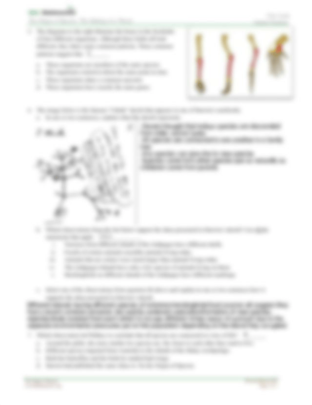 The Making of a Theory Worksheet.pdf_dxc55076kc3_page2