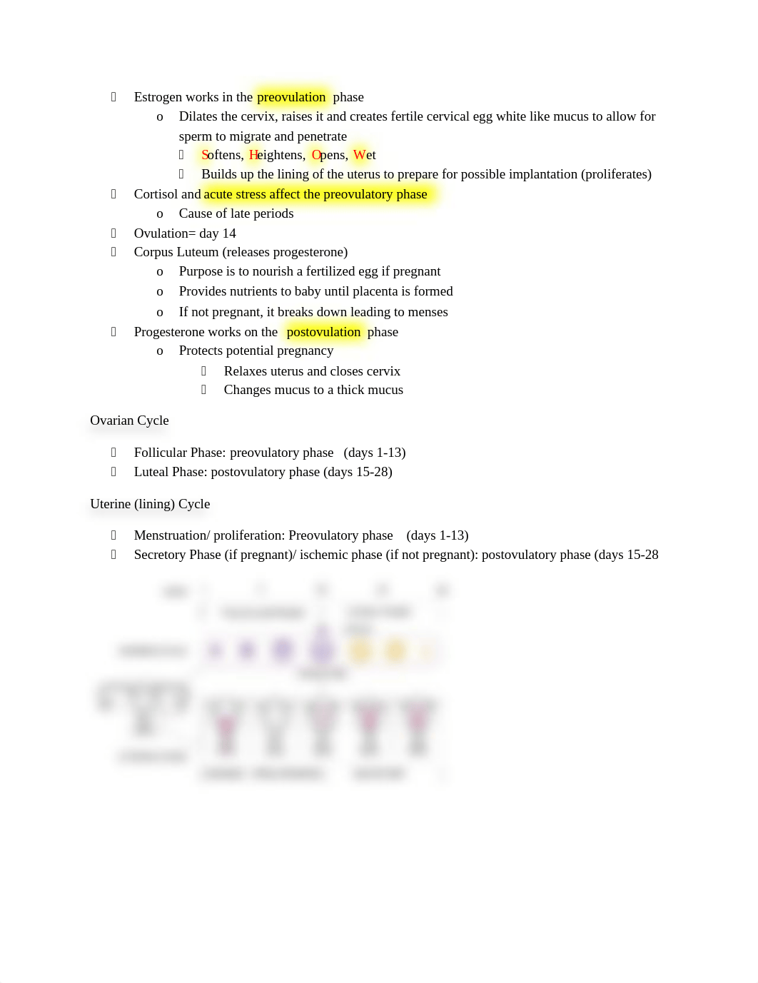 Maternity Notes for Exam 1.docx_dxc97jf0ao3_page3