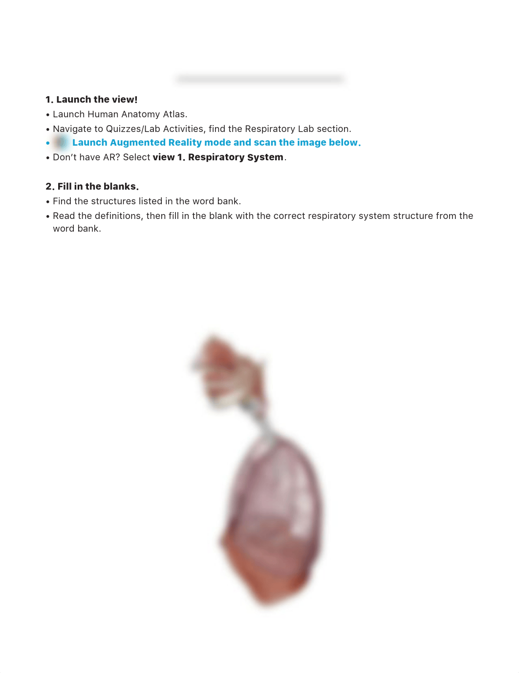 respiratory-lab-activity.pdf_dxcavgy7a9e_page1