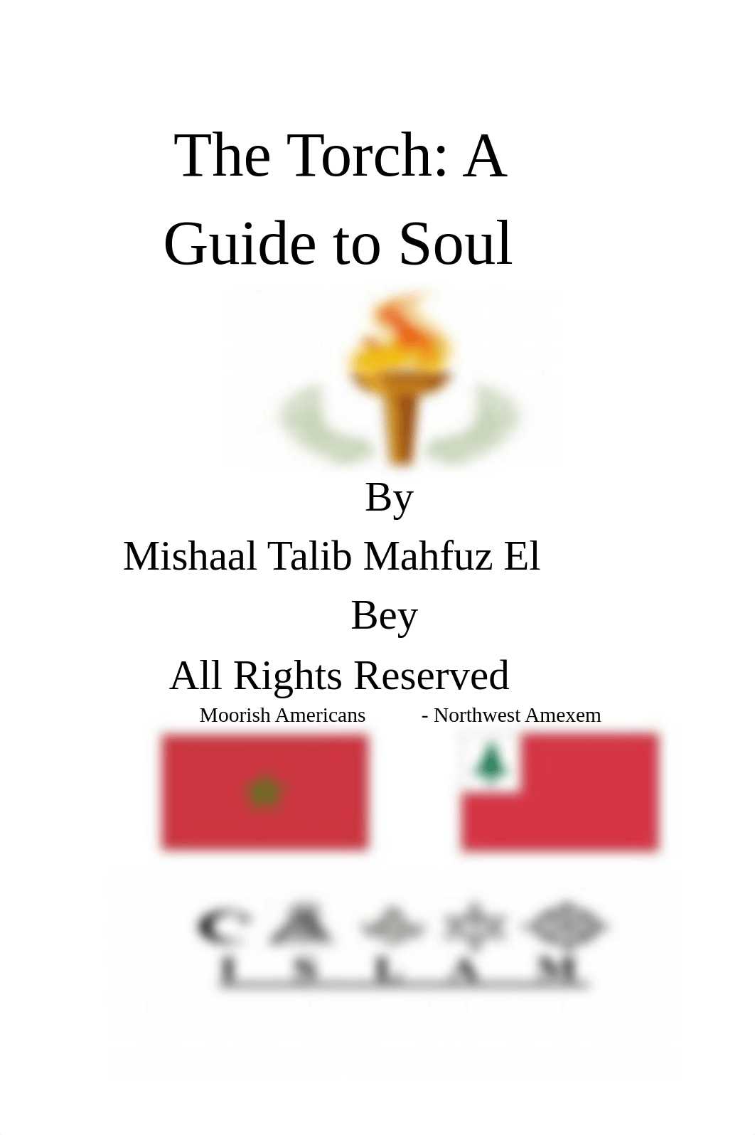 pdfcoffee.com_the-torch-a-guide-to-soul-pdf-free.pdf_dxcg7n3jfoq_page1